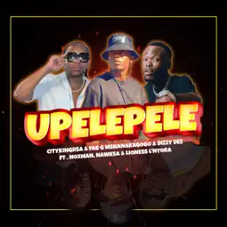 Citykingrsa, Fab G MshanakaGogo & Dizzy Dee Upelepele Mp3 Download