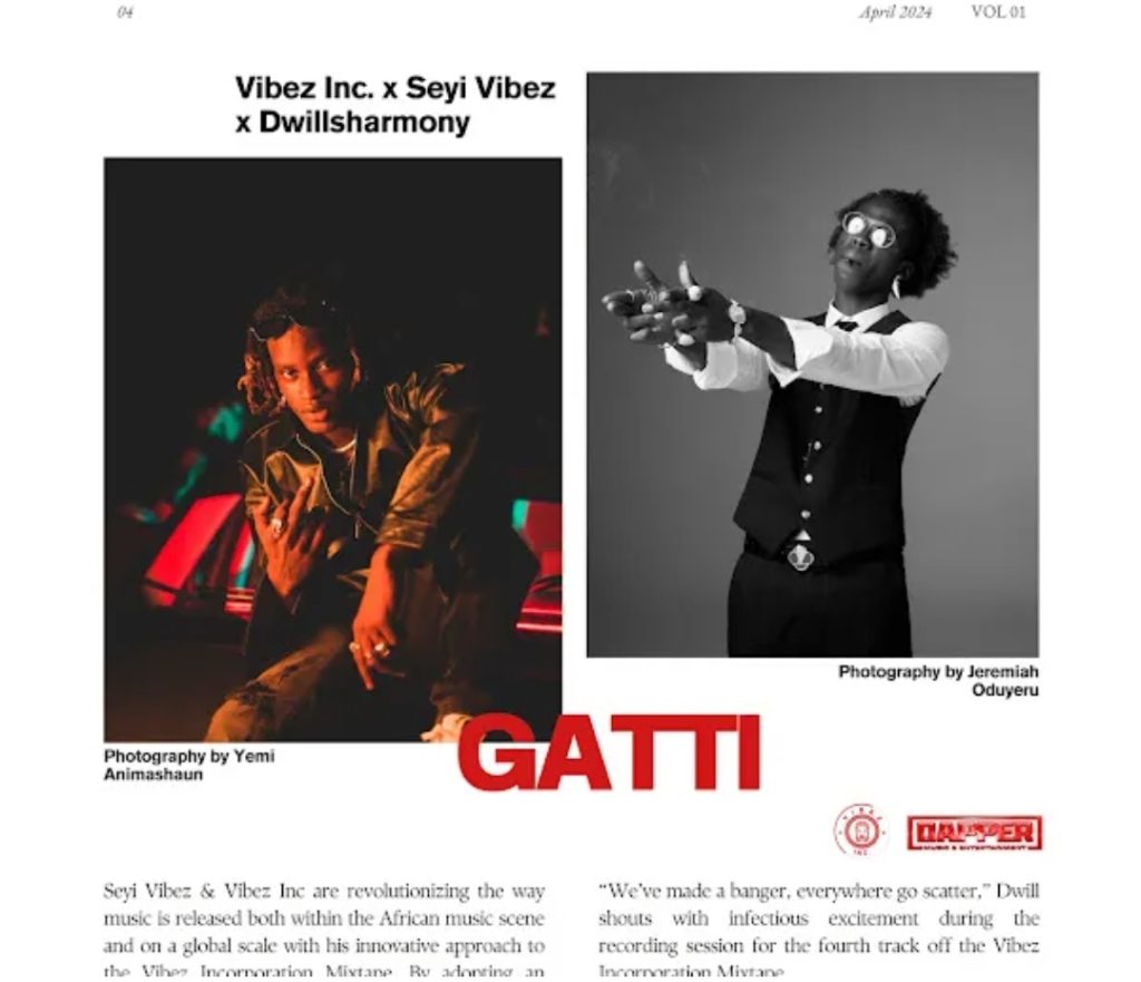 Seyi Vibez - Gatti Ft. Dwillsharmony