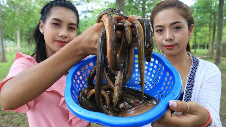 EELS Soup Viral Video 