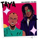 DwillsHarmony - Taya Ft TML Vibez