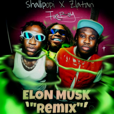 Shallipopi - Elon Musk (Remix) Ft. Zlatan & Fireboy DML