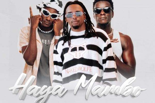 Wajomba Feat Dogo Janja - Haya Mambo